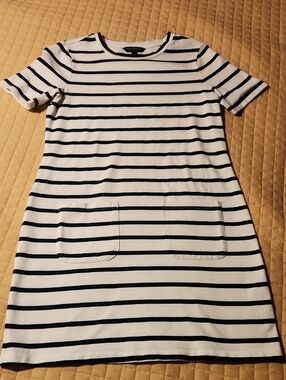 Banana Republic Navy & White Striped Mini Dress